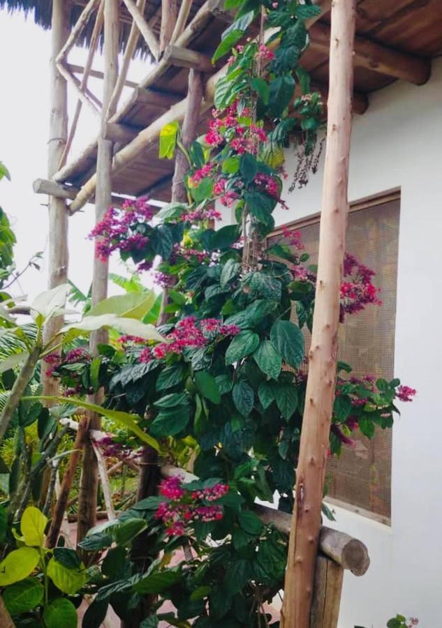 לינה וארוחת בוקר נונגווי Kilimani House מראה חיצוני תמונה