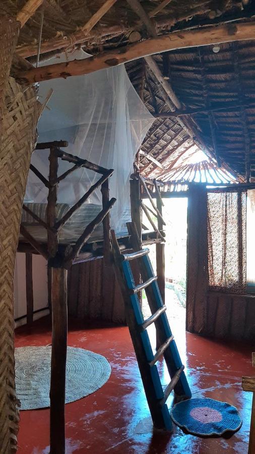 לינה וארוחת בוקר נונגווי Kilimani House מראה חיצוני תמונה